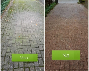 Reinigen tuinpad terras