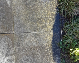 borstelaar reiniging terrastegel