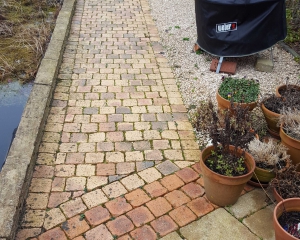 Reiniging tuinpad