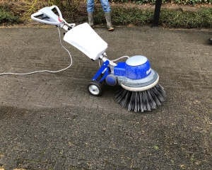 Oprit laten reinigen, mos verwijderen